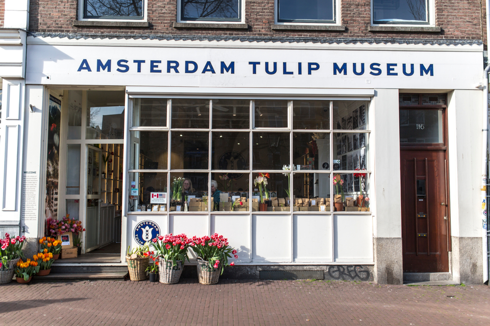 3 Days in Amsterdam Tulip Museum