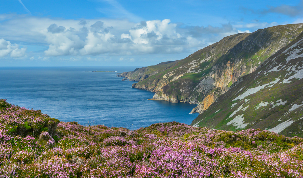 Slieve League Cliffs with pink flowers. Another of the beautiful places in Ireland