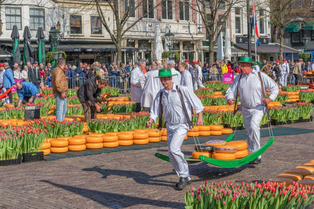 Day Trips From Amsterdam Alkmaar Cheese Market