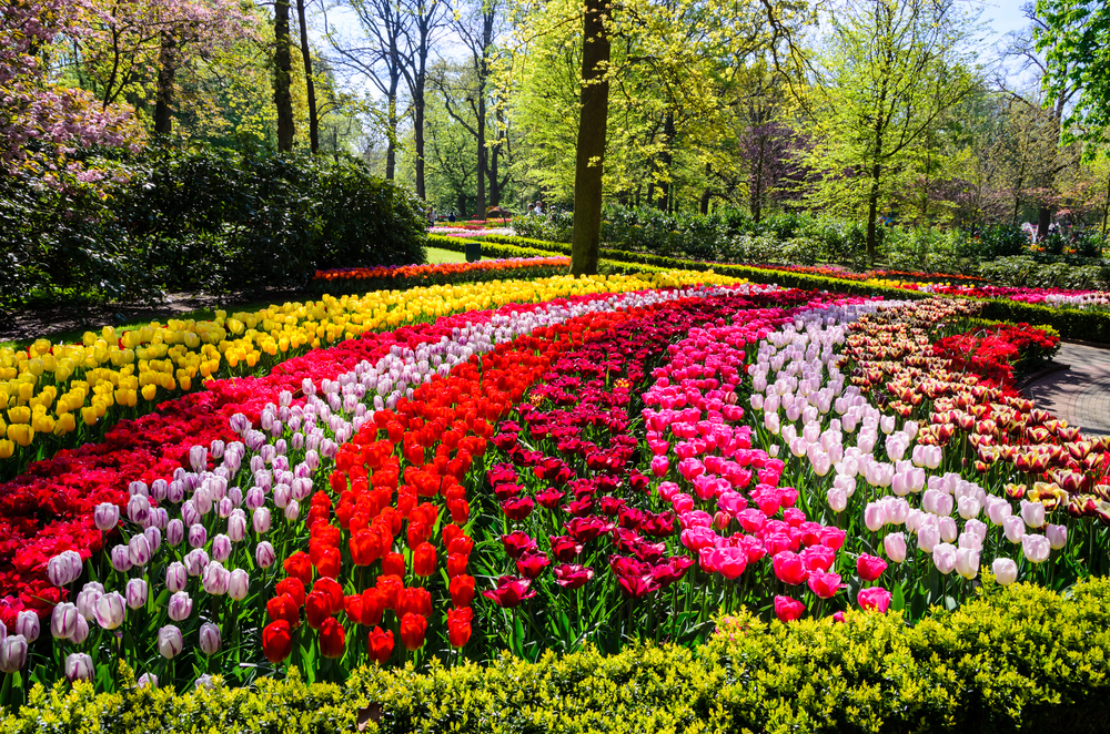 Day Trips From Amsterdam Keukenhof