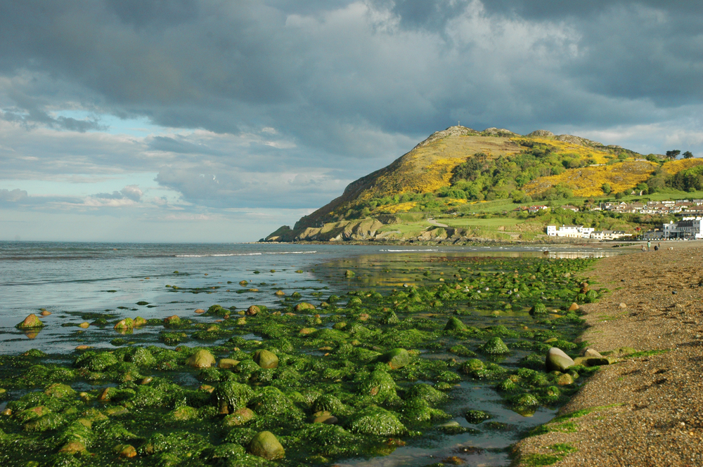 green hill along waterfront day trips from Dublin