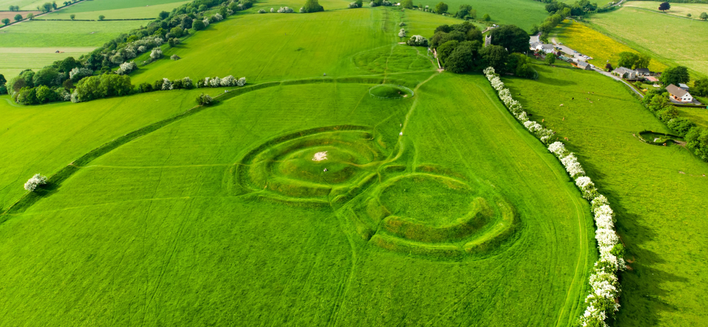 two green circles in grass aerial view