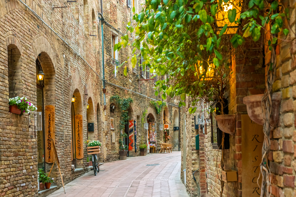 brown brick Italian alleyway with plants