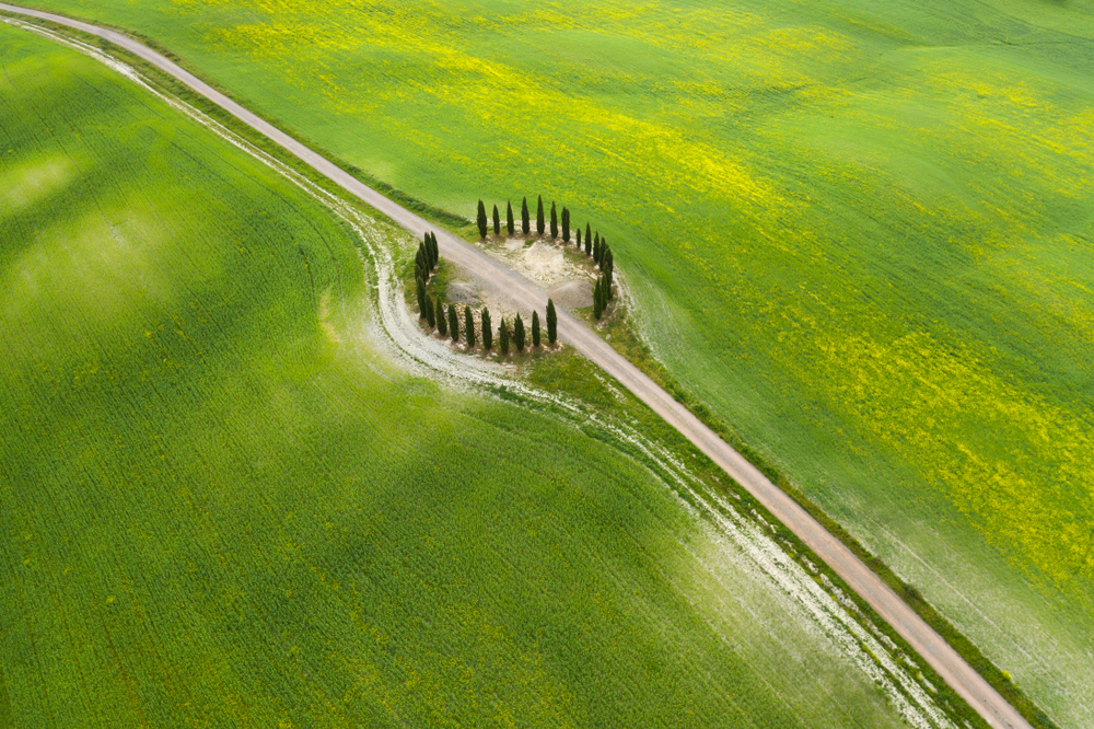 round circle of trees surrounded by green grass aerial shot day trips from Florence