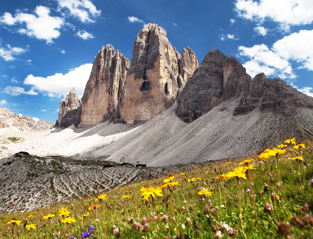 Well known Tre Cime jutting out of the wildflower pasture from Dolomites Hiking area.