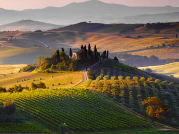 The stunning scenery of Val d’Orcia