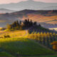 The stunning scenery of Val d’Orcia