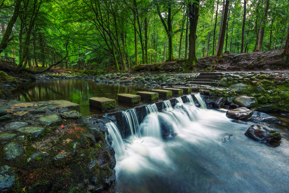 walking path over a waterfall in Tollymore Forest