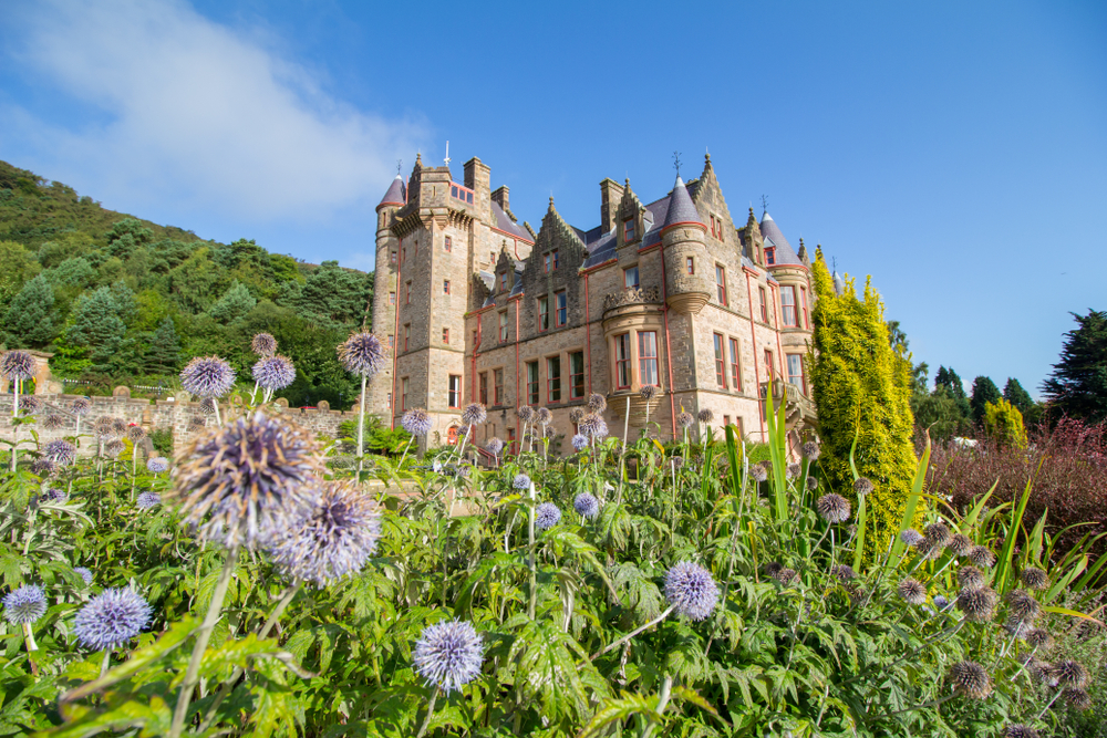 photo of belfast castle in the background. In there foreground there are purple flowers and greenery. The sky is blue.