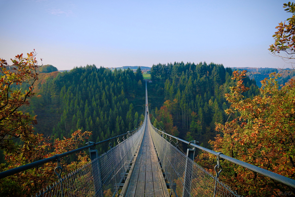 Geierlay suspension bridge stretching high above the mountain forest below.