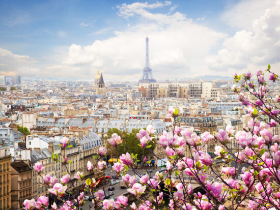 An overlook shot of springtime in Paris. Blooms rest in the foreground whilst the background highlights the Eiffel Tower.