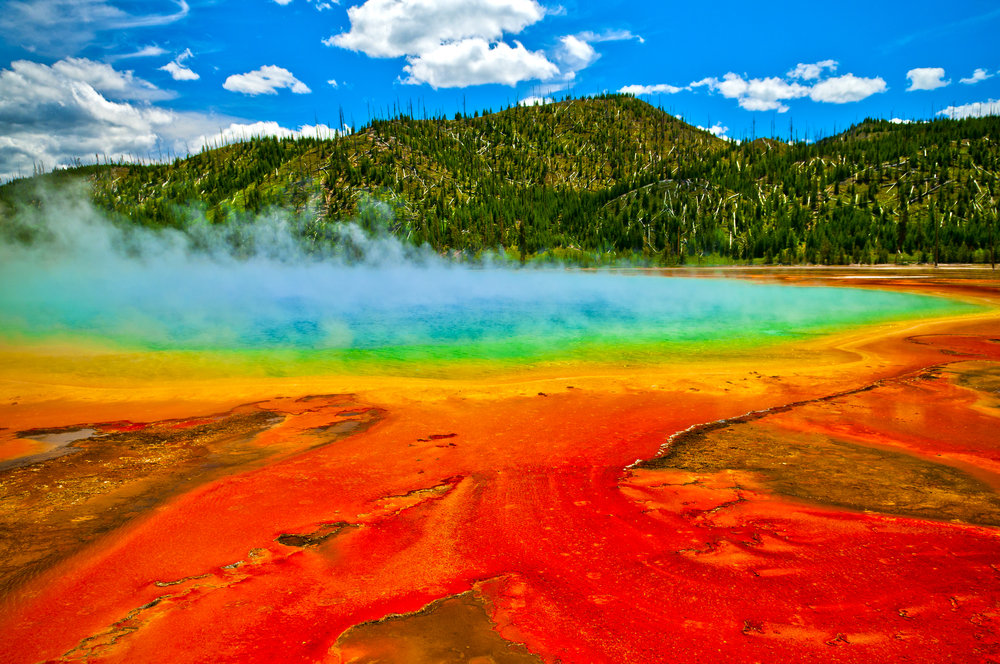 Picture of Cerulean Geyser in Yellowstone