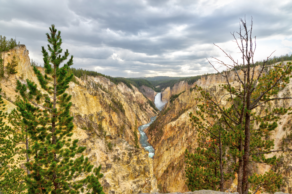 Photo of Yellowstone Grand Canyon