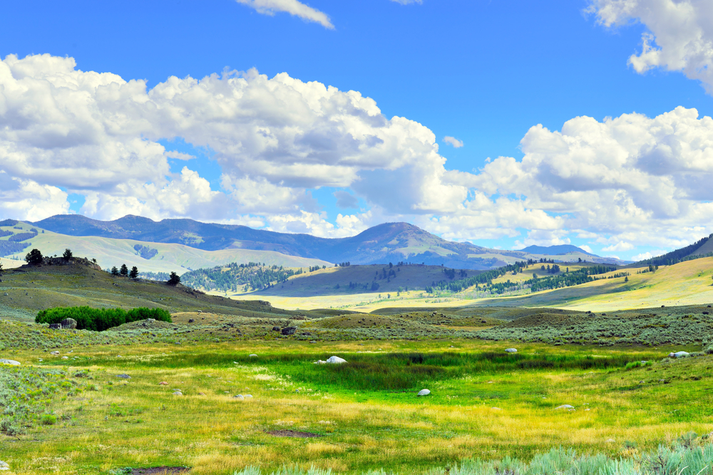 Photo of Lamar Valley, a scenic drive for your Yellowstone road trip.