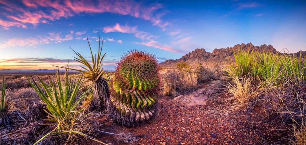 new mexico road trip