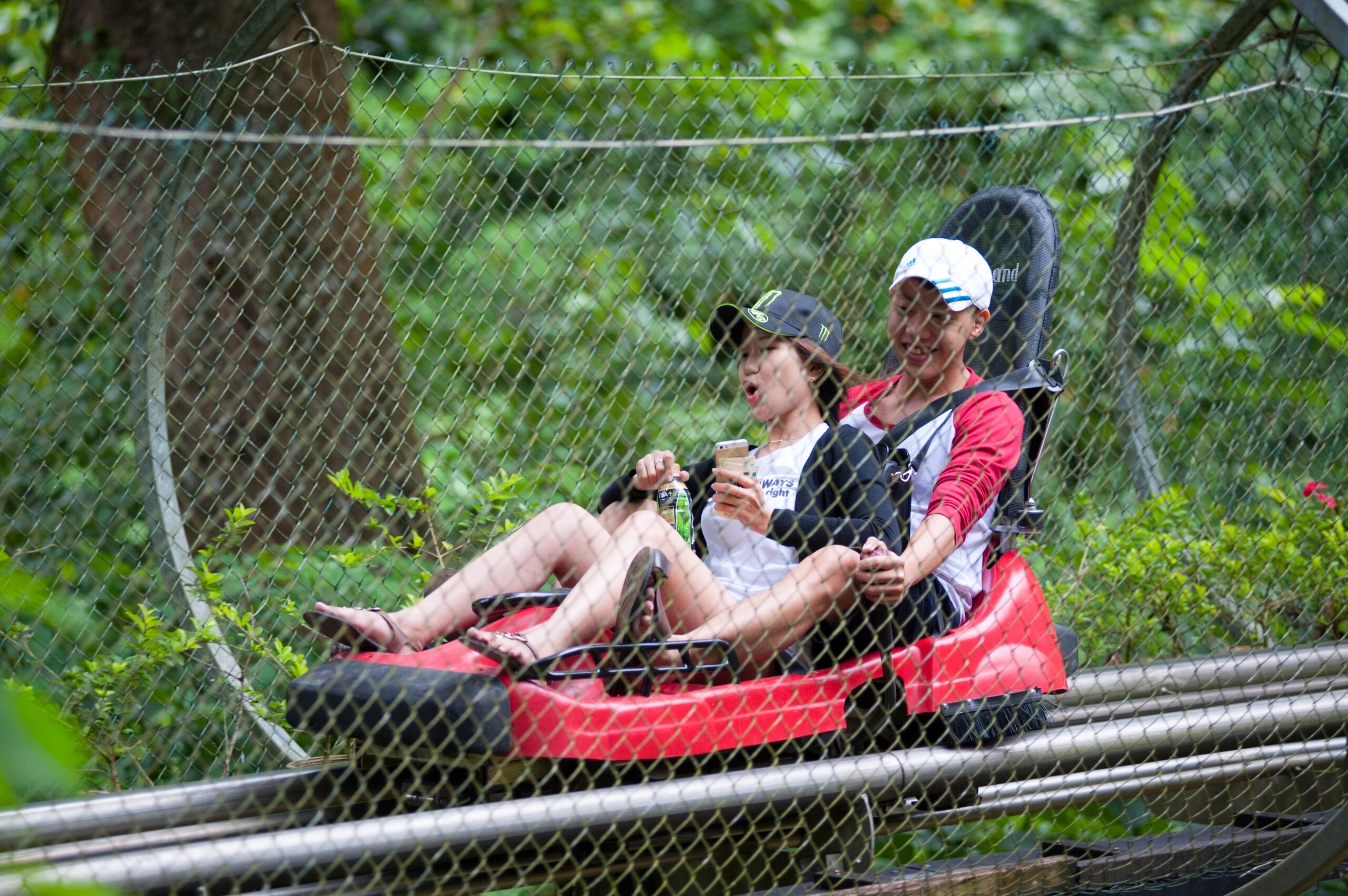 20 Fun Things To Do In Gatlinburg, Tennessee Follow Me Away