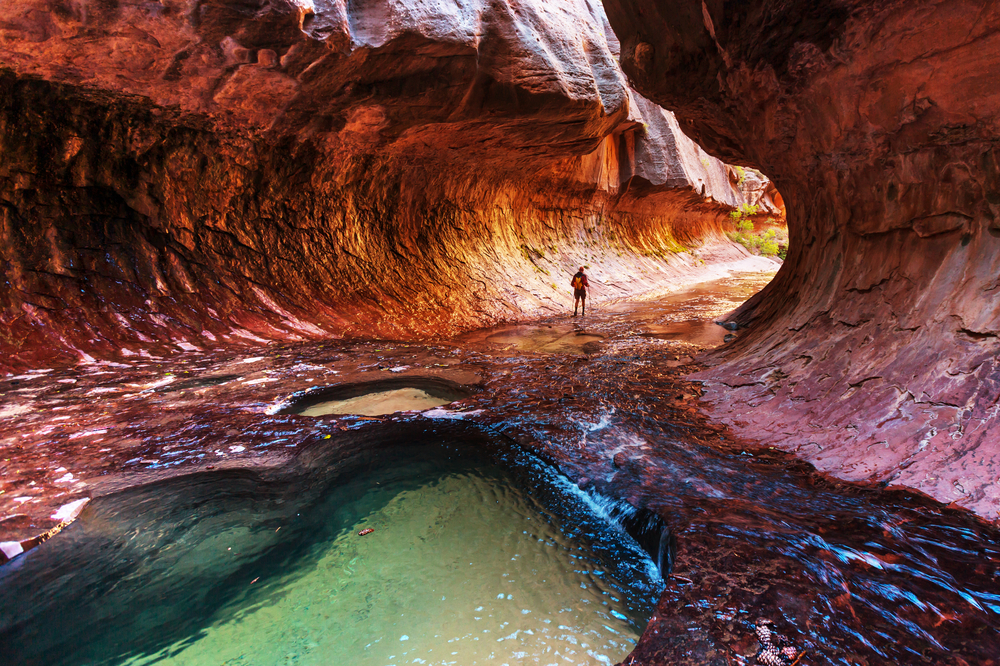 Zion National Park in Utah on one of the best road trips in the USA