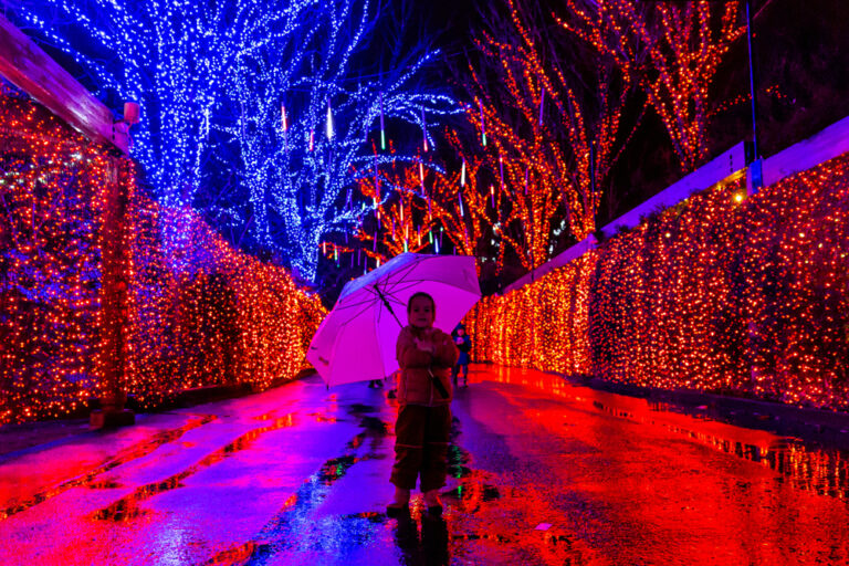 21 Festive Vacation Destinations For Christmas In The USA - Follow Me Away