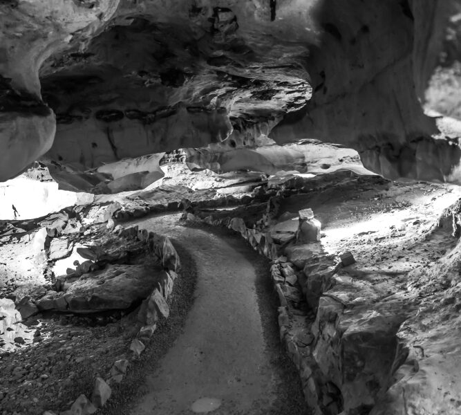 A pathway in the Forbbiden Caverns, Tennessee, winding through rock walls. 