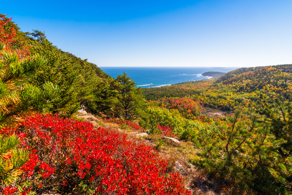 The Maine fall foliage is a sharp contrast to the clear waters