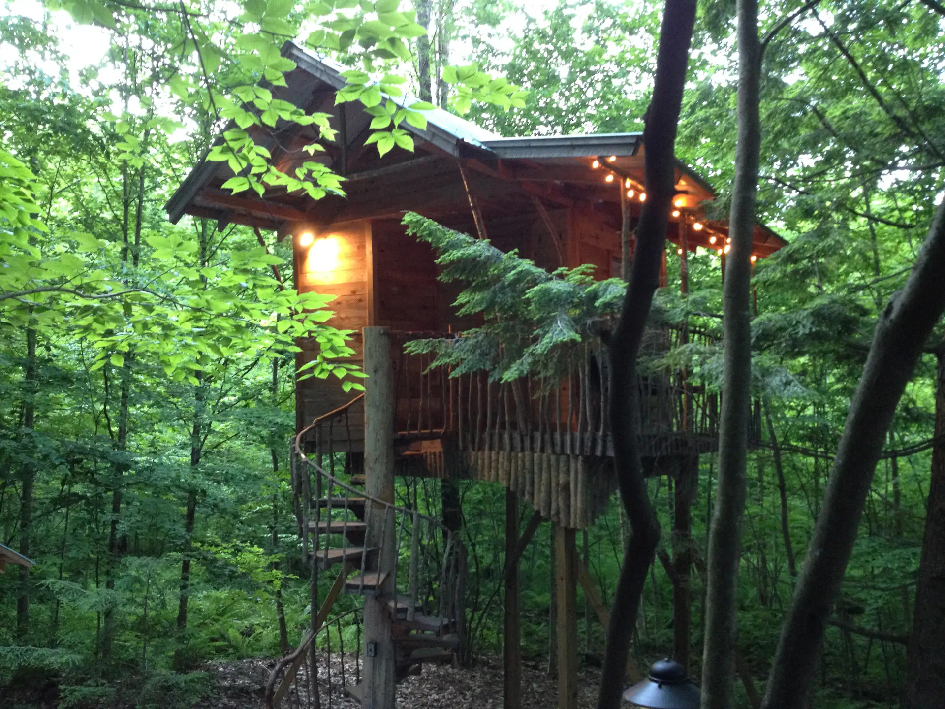 Photo of another tree house where you can stay during your New York road trip.