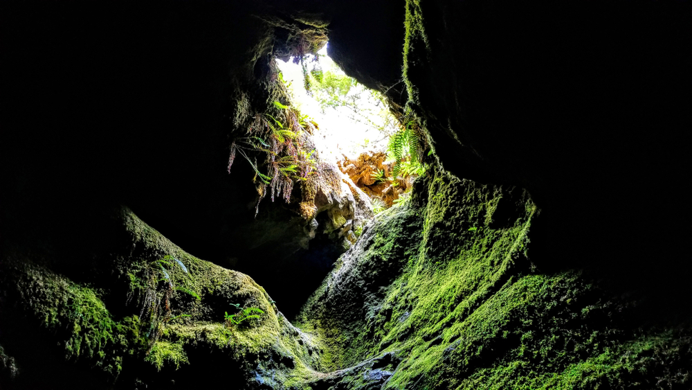 Inside the mossy Ape Cave looking up at the entrance,