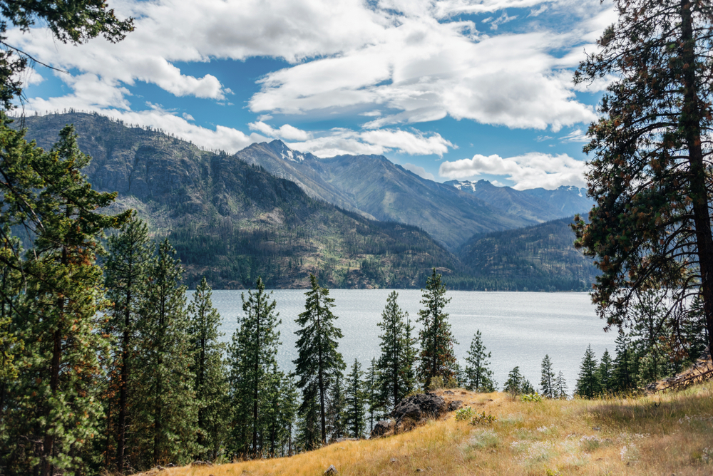 View through trees of Lake Chelan with green mountains in the distance.