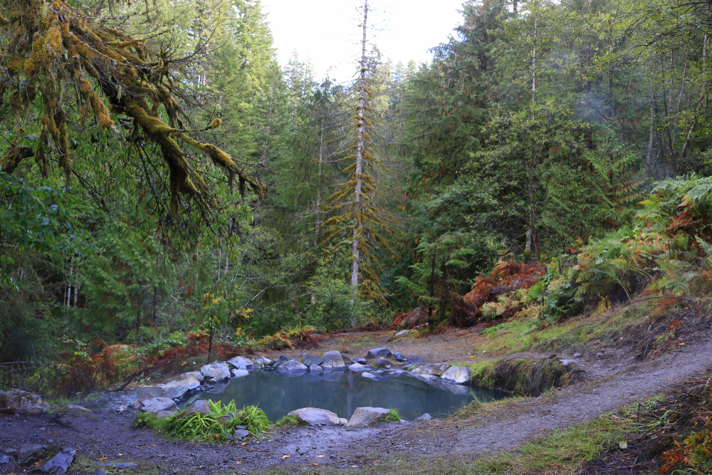 Olympic Hot Springs ringed with stones in the forest next to a dirt path.