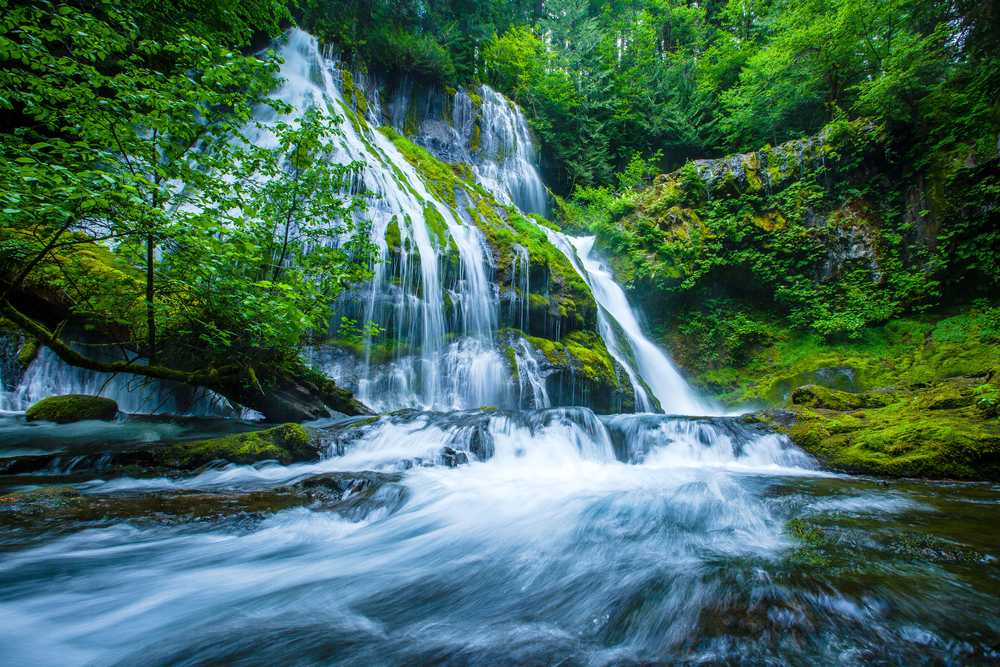 One of the most memorable waterfalls in the State, the Panther Creek Falls is one of the best places to visit in Washington State