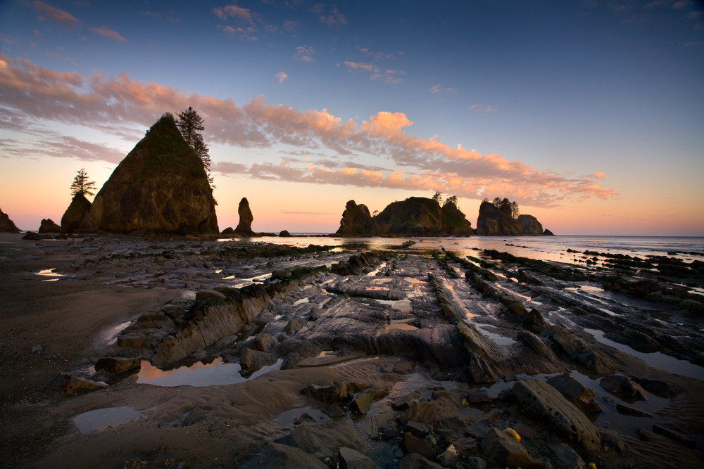 Don't neglect visiting Shi Shi Beach, one of the best places to visit in Washington State!