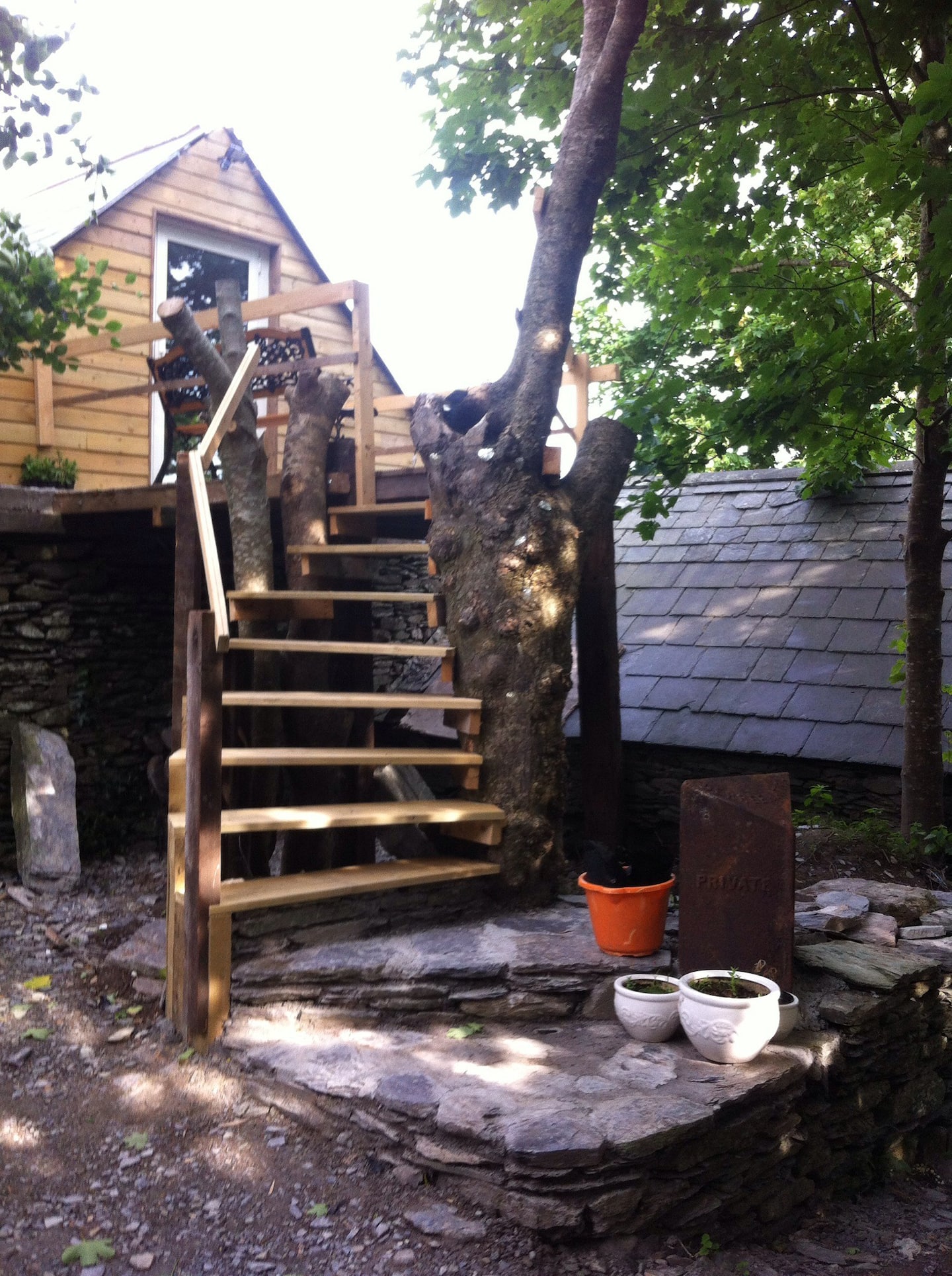 Immerse yourself in the greens of Ireland at this treehouse airbnb.