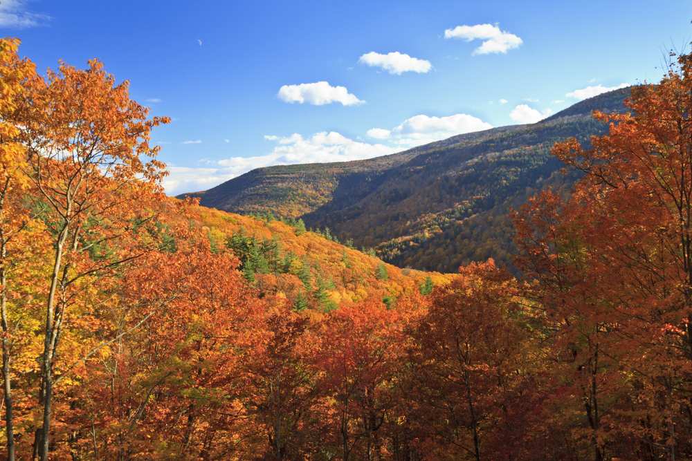 Photo of the Catskills.