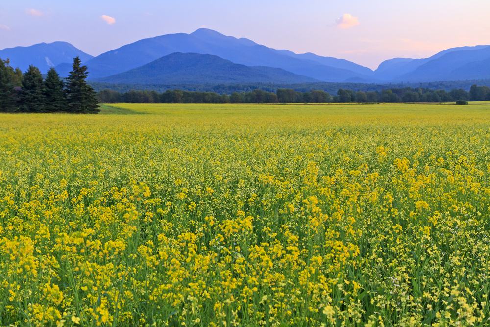 Photo of the Adirondack Mountains.