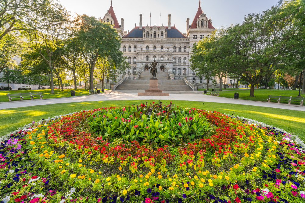 Photo of beautiful landscaping in Albany.