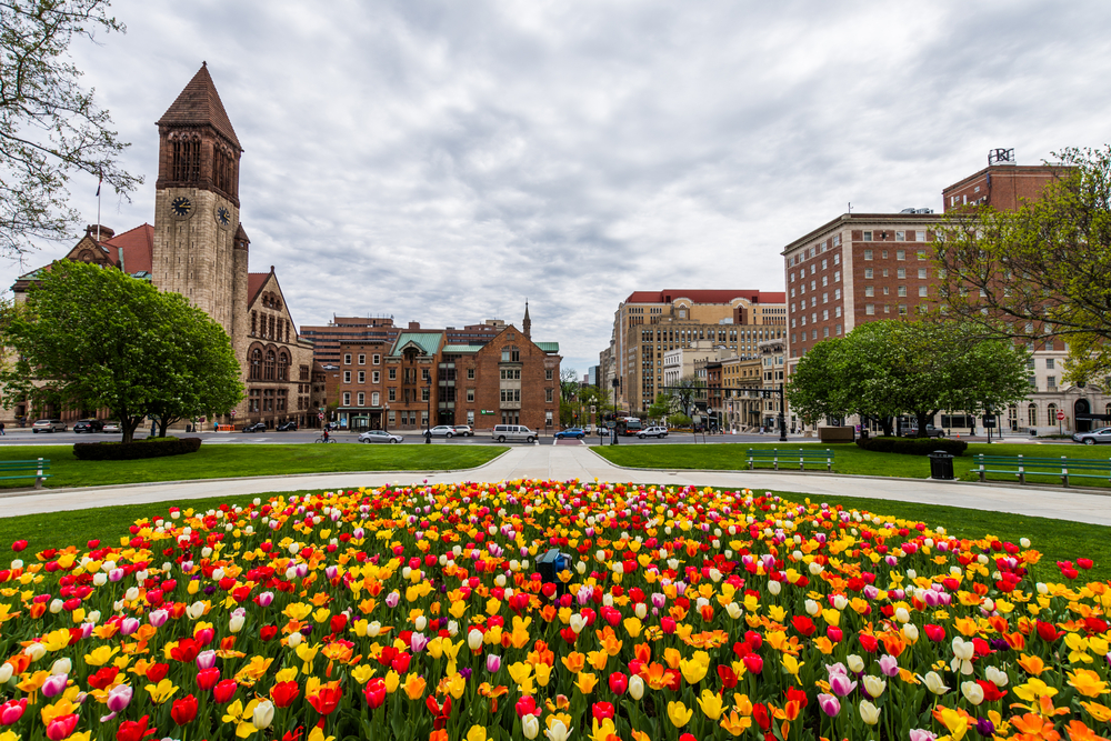 Photo of Albany New York.