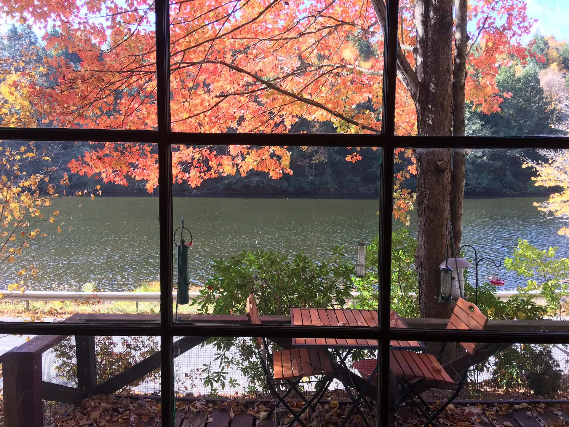 Photo of a lakeside cottage in the Catskills where you can stay during your New York road trip!