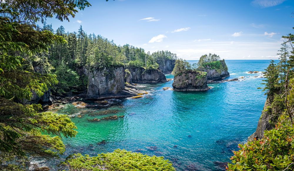 Cape Flattery is the most northwest point in the USA!