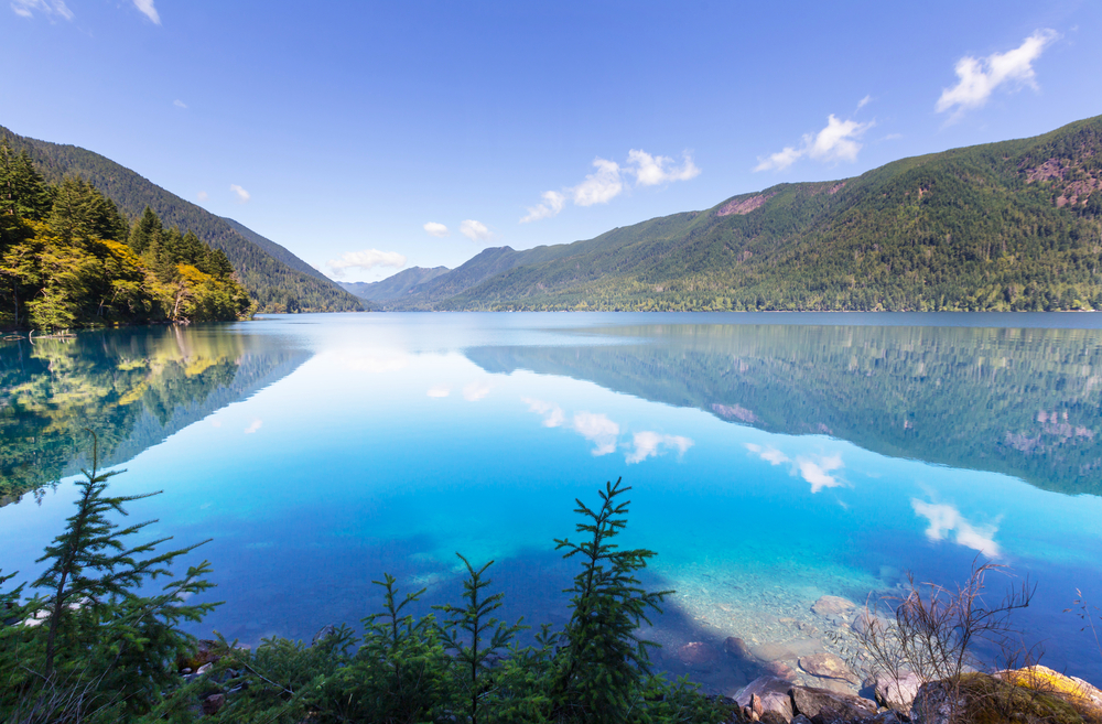 Olpymic national park is one of the most-seen spots in Washington state with it's beautiful trees and sweeping landscapes.