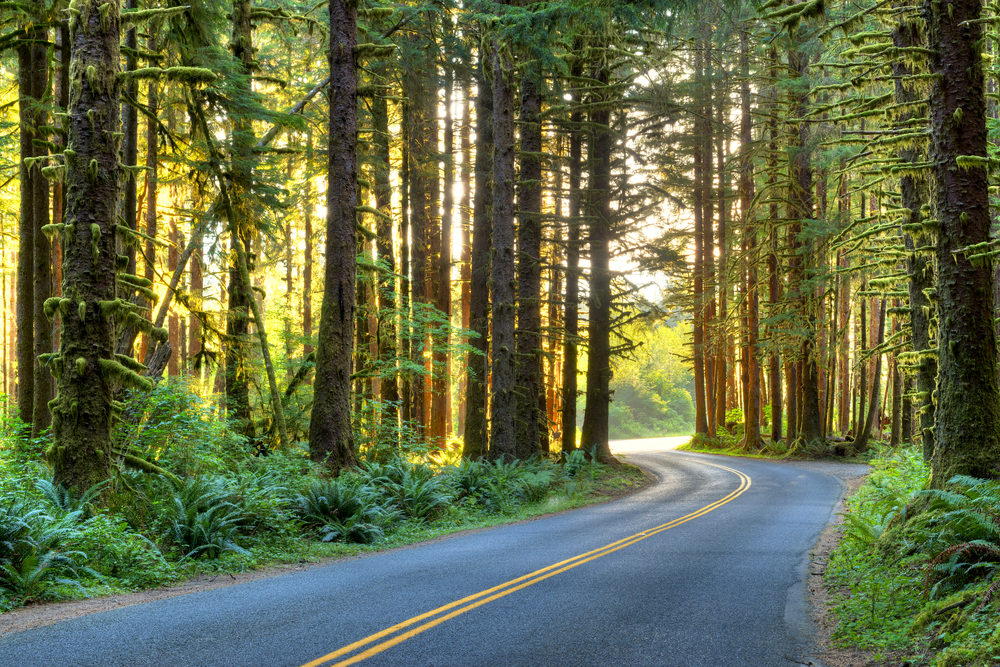 The roads in Washington can take you to a whole new level while exploring.