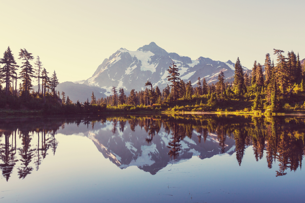 Washington State has some of the best parks and nature elements to explore on a road trip. 