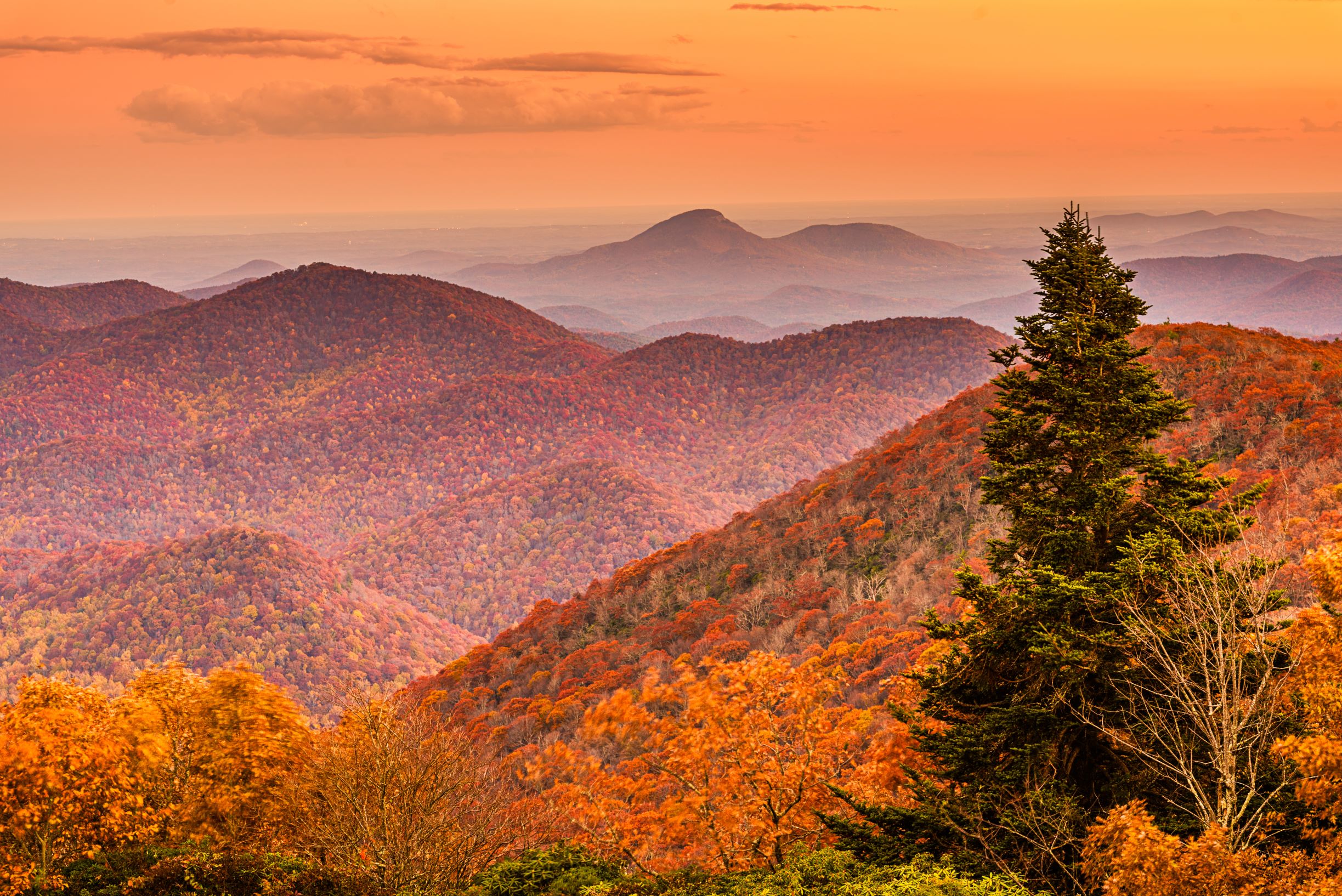 Photo from Brasstown Bald in Georgia showing fall foliage.