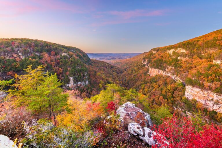 10 Best Places To See Fall Foliage In Follow Me Away