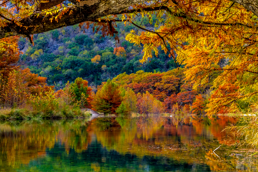 An emerald green lake surrounded by trees in autumn with overhanging branches during fall in the USA.