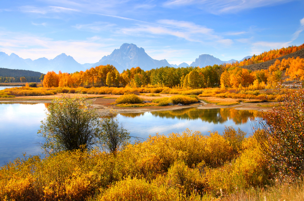 landscape with lake turned golden in the fall with towering mountains in the background fall in the USA