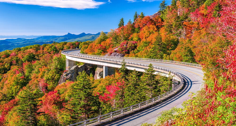 road curving through bright colorful fall trees in North Carolina Fall in the USA