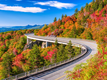 road curving through bright colorful fall trees in North Carolina Fall in the USA