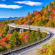 road curving through bright colorful fall trees in North Carolina Fall in the USA