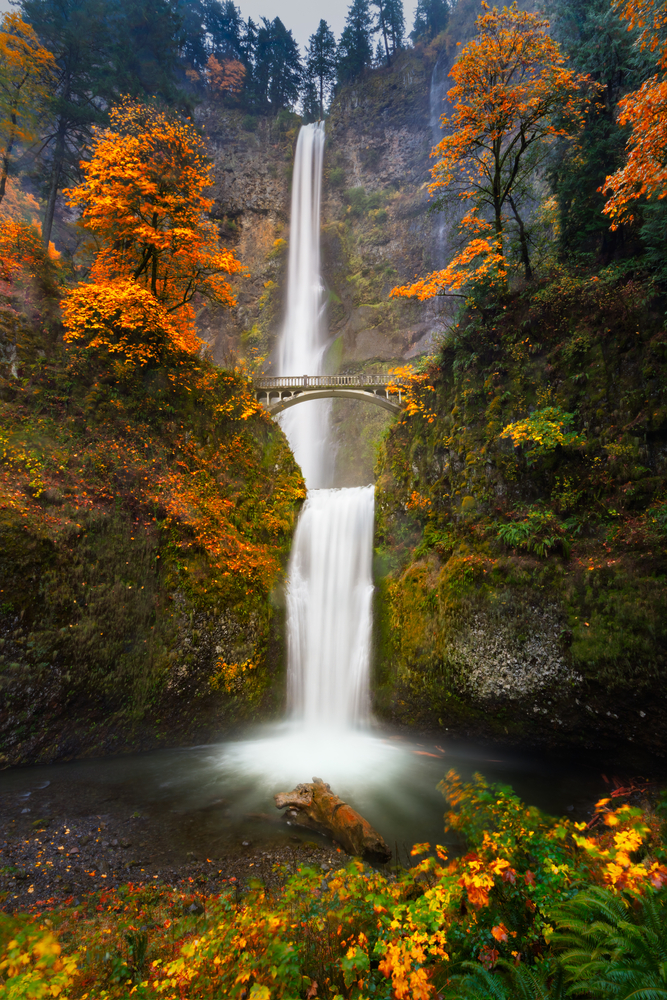 The two tiered Multnomah Falls with bridge surrounded by fall colors.