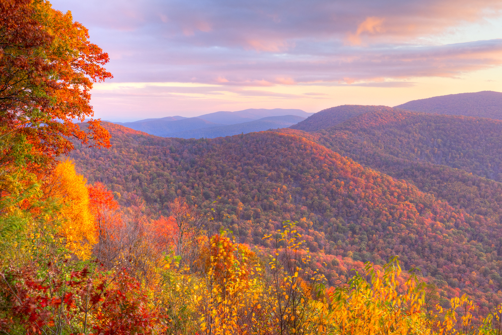 mountains completely covered in red and orange leaves of fall