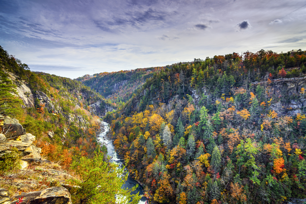 The stunning mountains and fall trees of Georgia